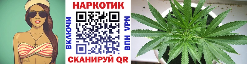 Псилоцибиновые грибы Полесск