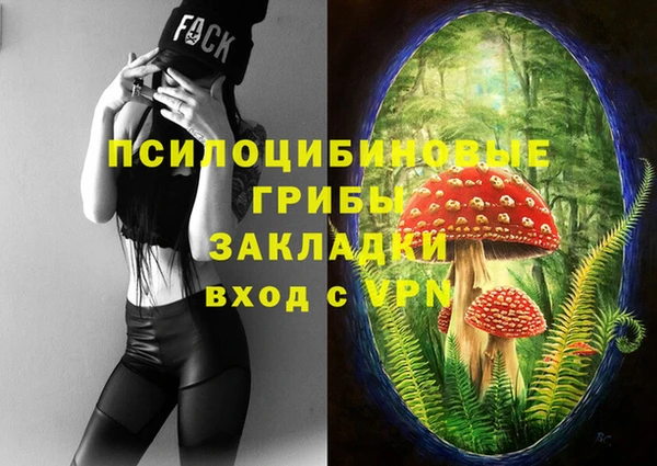 ГАЛЛЮЦИНОГЕННЫЕ ГРИБЫ Пересвет